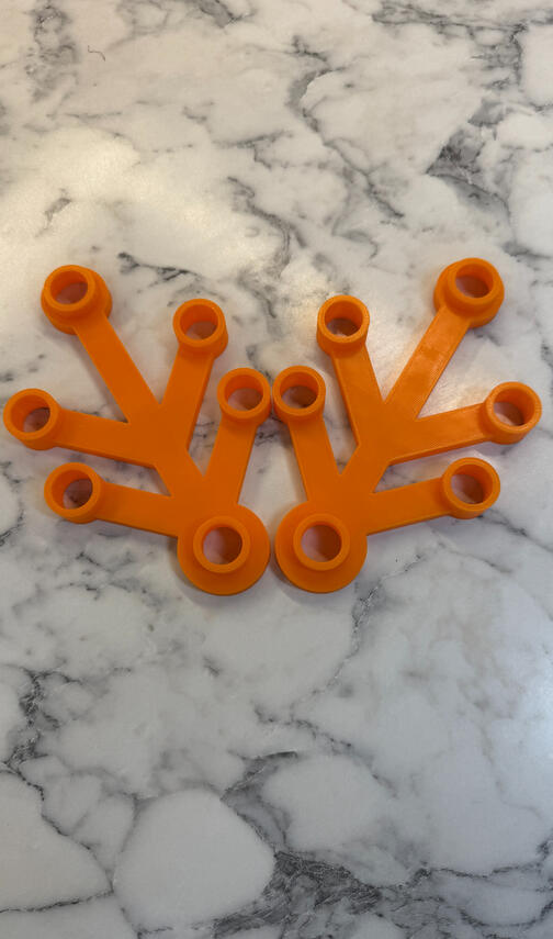 Orange Branches