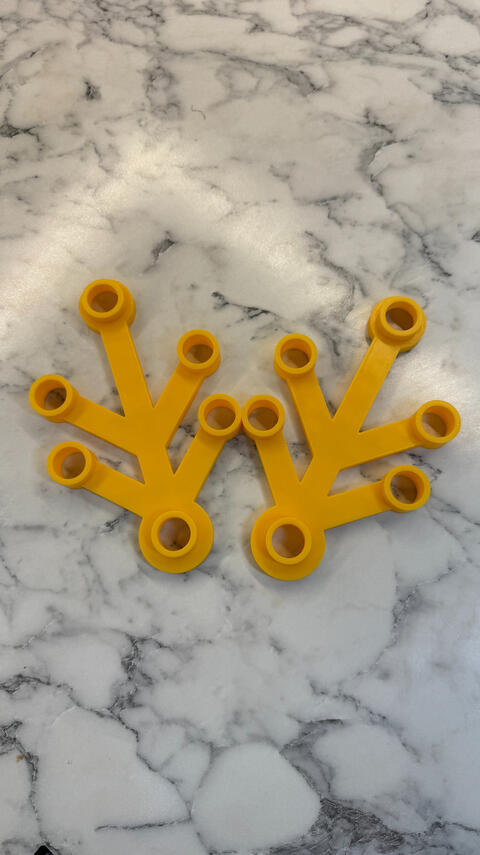 Yellow Branches